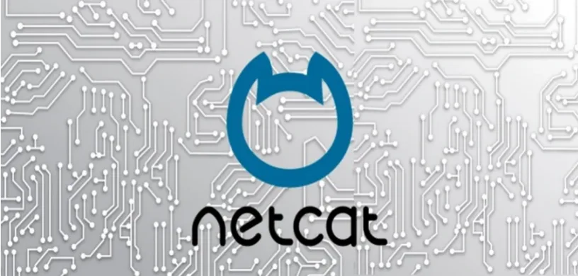 Using Netcat for Network Exploitation: A Powerful Tool in Ethical Hacking 1 Using Netcat for Network Exploitation: